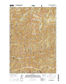 Piquett Mountain 2014 topographic map thumbnail
