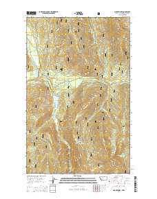 Mount Henry 2014 topographic map thumbnail