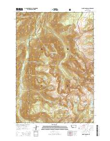 Mount Douglas 2014 topographic map thumbnail
