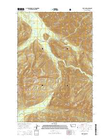 Pilot Peak 2014 topographic map thumbnail