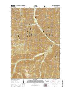 White Mountain 2014 topographic map thumbnail