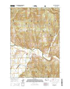 Wise River 2014 topographic map thumbnail