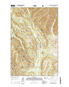 Silver King Mountain 2014 topographic map thumbnail