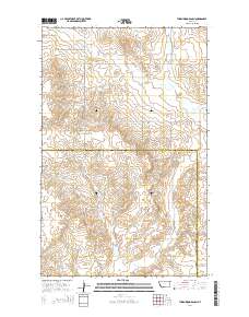 Thornwood Ranch 2014 topographic map thumbnail