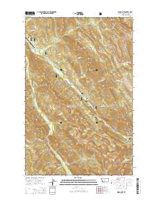 Wood Lake 2014 topographic map thumbnail