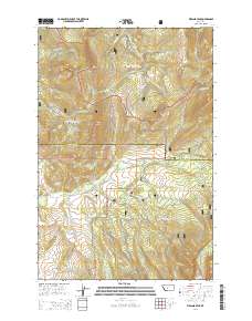 Virginia Peak 2014 topographic map thumbnail