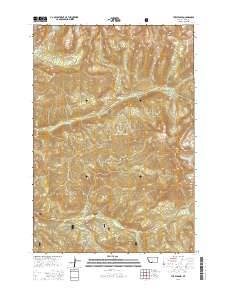 The Pyramid 2014 topographic map thumbnail