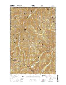 Torino Peak 2014 topographic map thumbnail