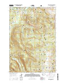 Selway Mountain 2014 topographic map preview
