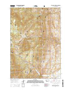 Twin Adams Mountain 2014 topographic map thumbnail