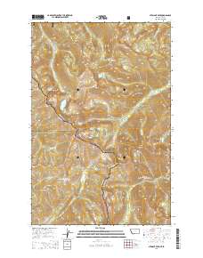 Straight Peak 2014 topographic map thumbnail