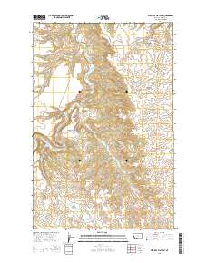 Wild Bill Flat East 2014 topographic map thumbnail