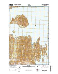 Wild Horse Island 2014 topographic map thumbnail