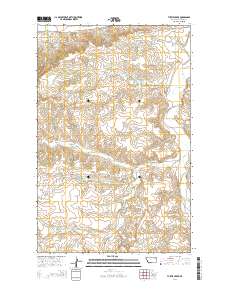 Turtle Creek 2014 topographic map thumbnail