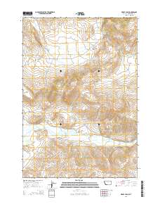 Henry Gulch 2014 topographic map thumbnail
