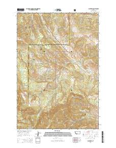 Bald Knob 2014 topographic map thumbnail