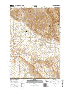 Bear Canyon 2014 topographic map thumbnail