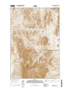 Willow Springs 2014 topographic map thumbnail