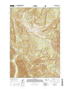 Pika Point 2014 topographic map thumbnail