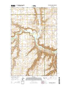 Timber Coulee North 2014 topographic map thumbnail