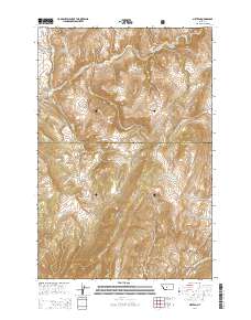 Sixteen 2014 topographic map thumbnail