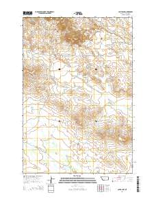 Capitol NW 2014 topographic map thumbnail