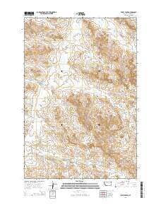 Forty Creek 2014 topographic map thumbnail