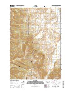 Medicine Lodge Peak 2014 topographic map thumbnail