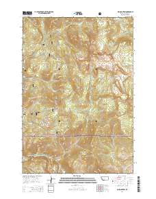 Ash Mountain 2014 topographic map thumbnail