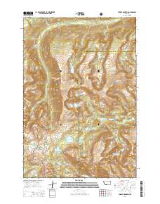 Tumble Mountain 2014 topographic map thumbnail