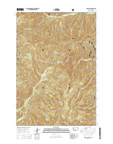 Bare Cone 2014 topographic map thumbnail