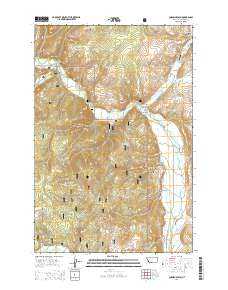 Cornish Gulch 2014 topographic map thumbnail