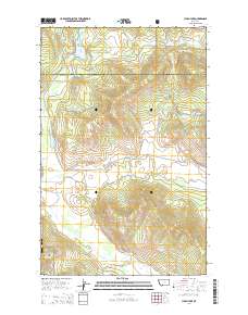 Lynch Lake 2014 topographic map thumbnail