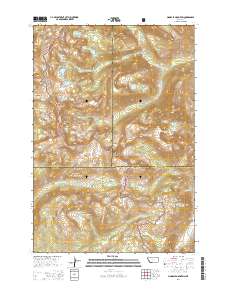 Pinnacle Mountain 2014 topographic map thumbnail