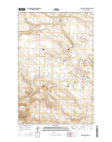 Wild Horse Butte 2014 topographic map thumbnail