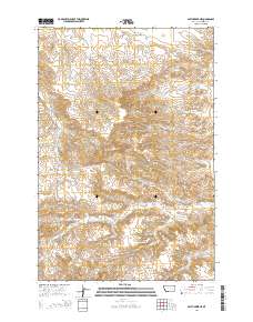 Smith Creek NE 2014 topographic map thumbnail