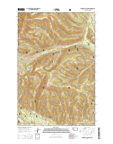 Stonewall Mountain 2014 topographic map thumbnail