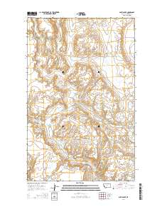 Austin Lake 2014 topographic map thumbnail