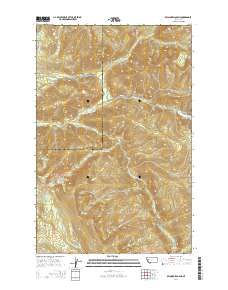 Belmore Sloughs 2014 topographic map thumbnail