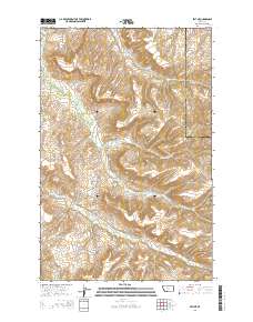 Belt NE 2014 topographic map thumbnail