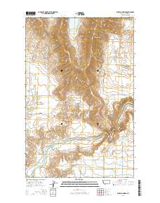 Buffalo Bridge 2014 topographic map thumbnail