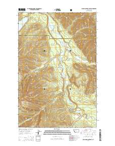 Big Salmon Lake East 2014 topographic map thumbnail