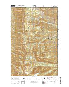 Cedar Lake 2014 topographic map thumbnail