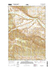 Bald Butte 2014 topographic map thumbnail