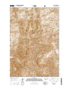 Bannack 2014 topographic map thumbnail