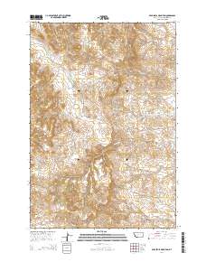 Bear Skull Mountain 2014 topographic map thumbnail