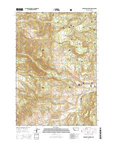 Freezeout Mountain 2014 topographic map thumbnail