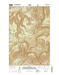 Daisy Peak 2014 topographic map thumbnail