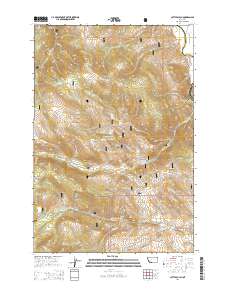 Cattle Gulch 2014 topographic map thumbnail