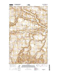 Big Coulee 2014 topographic map thumbnail